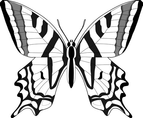 Butterflies clip art black and white - Browse 860+ butterfly clipart black and white pictures stock illustrations and vector graphics available royalty-free, or start a new search to explore more great stock images and vector art. Floral Book isolated clipart, Opened book and wildflowers boho decorative composition, flower daisy bouquet ... 